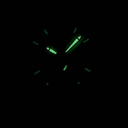 Citizen Quartz AO3010-05A Men's Watch