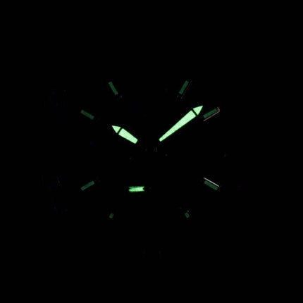 Citizen Quartz Analog AO3010-05E Men's Watch