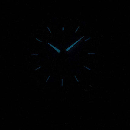 Citizen Eco-Drive AW1244-56A Titanium Men's Watch