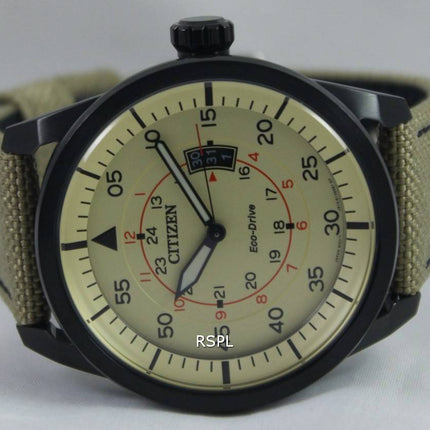 Citizen Eco-Drive Aviator Power Reserve AW1365-19P Men's Watch