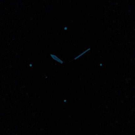 Citizen Eco-Drive AW5005-21Y Men's Watch