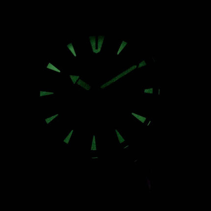 Citizen BI1041-22L Quartz Men's Watch