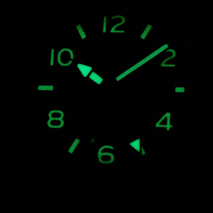 Citizen PROMASTER Eco-Drive BJ7100-82E World Time 200M Men's Watch