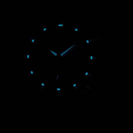 Citizen Eco-Drive BT0080-59A Japan Made Analog Men's Watch