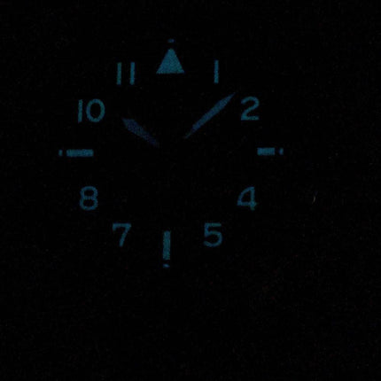 Citizen Promaster Nighthawk BX1010-02E World Time Eco-Drive 200M Men's Watch