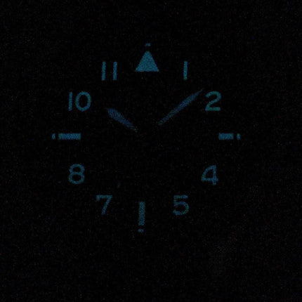 Citizen Promaster Nighthawk BX1010-11L World Time Eco-Drive 200M Men's Watch
