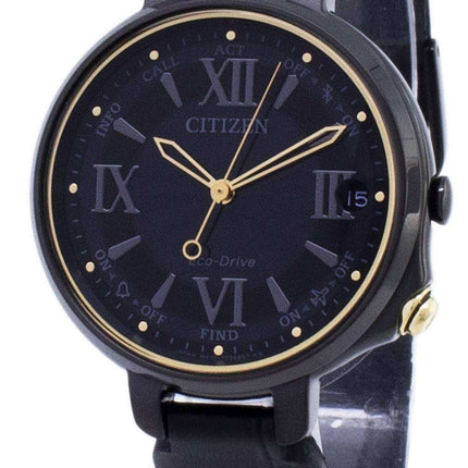 Citizen Eco-Drive EE4055-17E Analog Women's Watch
