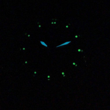 Citizen Quartz Black Dial EQ0560-09E Women's Watch