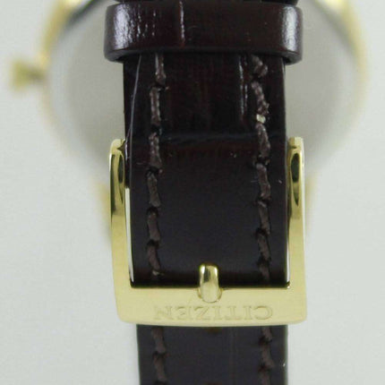 Citizen Eco-Drive Date Display FE1083-02A Women's Watch