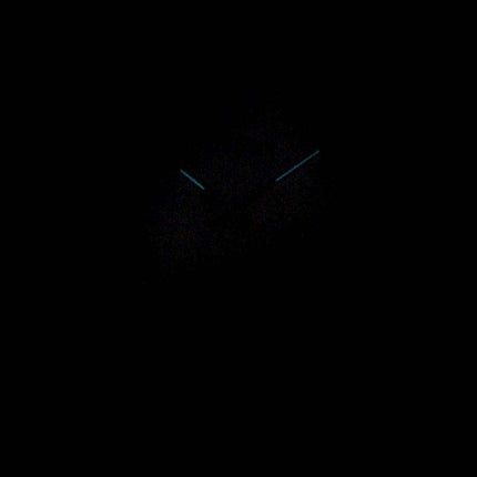 Citizen Eco-Drive FE6012-11A Analog Women's Watch