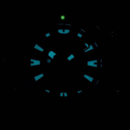 Citizen Aqualand Promaster Diver's 200M Analog Digital JP1099-81L Men's Watch