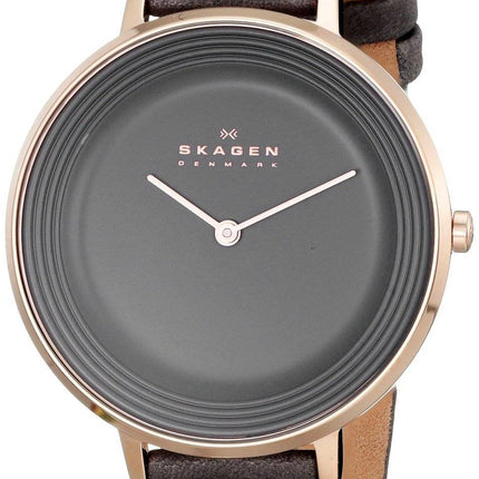 Skagen Ditte Quartz Grey Dial SKW2216 Womens Watch