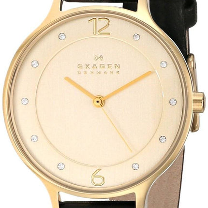 Skagen Anita Gold-Tone Crystallized SKW2266 Women's Watch