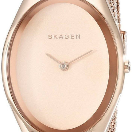 Skagen Madsen Rose Matte Dial Rose Gold-Tone Mesh Bracelet SKW2299 Womens Watch