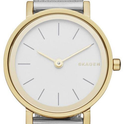 Skagen Hald Steel Mesh Quartz SKW2445 Women's Watch