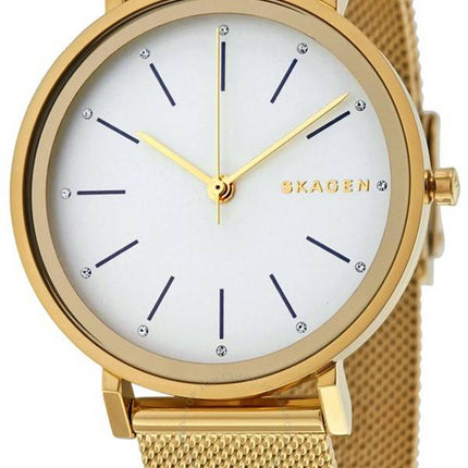 Skagen Hald Quartz SKW2509 Women's Watch