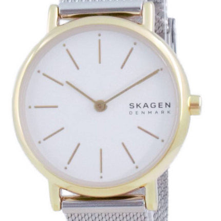 Skagen Signatur Stainless Steel Quartz SKW2910 Women's Watch