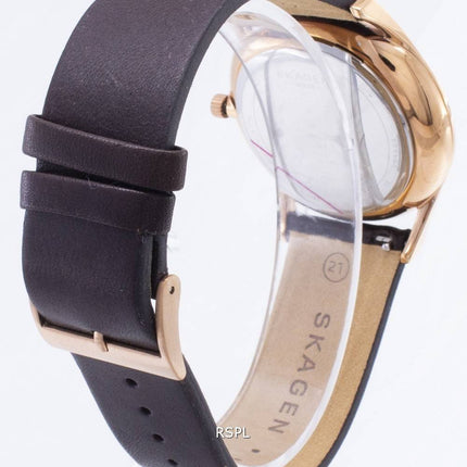 Skagen Holst Analog Quartz SKW6395 Men's Watch