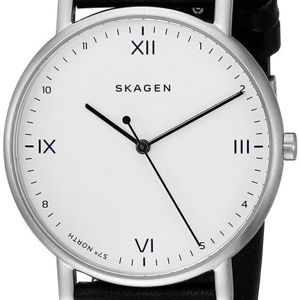 Skagen x Playtype Signatur Quartz SKW6412 Men's Watch