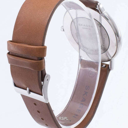 Skagen Signatur SKW6429 Quartz Analog Men's Watch