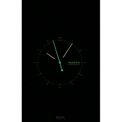 Skagen Signatur Stainless Steel Grey Dial Quartz SKW6900 Men's Watch