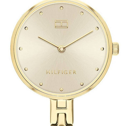 Tommy Hilfiger Kit Gold Tone Dial Stainless Steel Quartz 1782135 Womens Watch