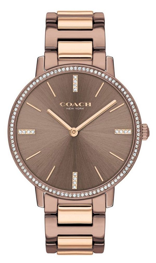 Coach Audrey Crystal Accents Two Tone Stainless Steel Quartz 14503502 Womens Watch